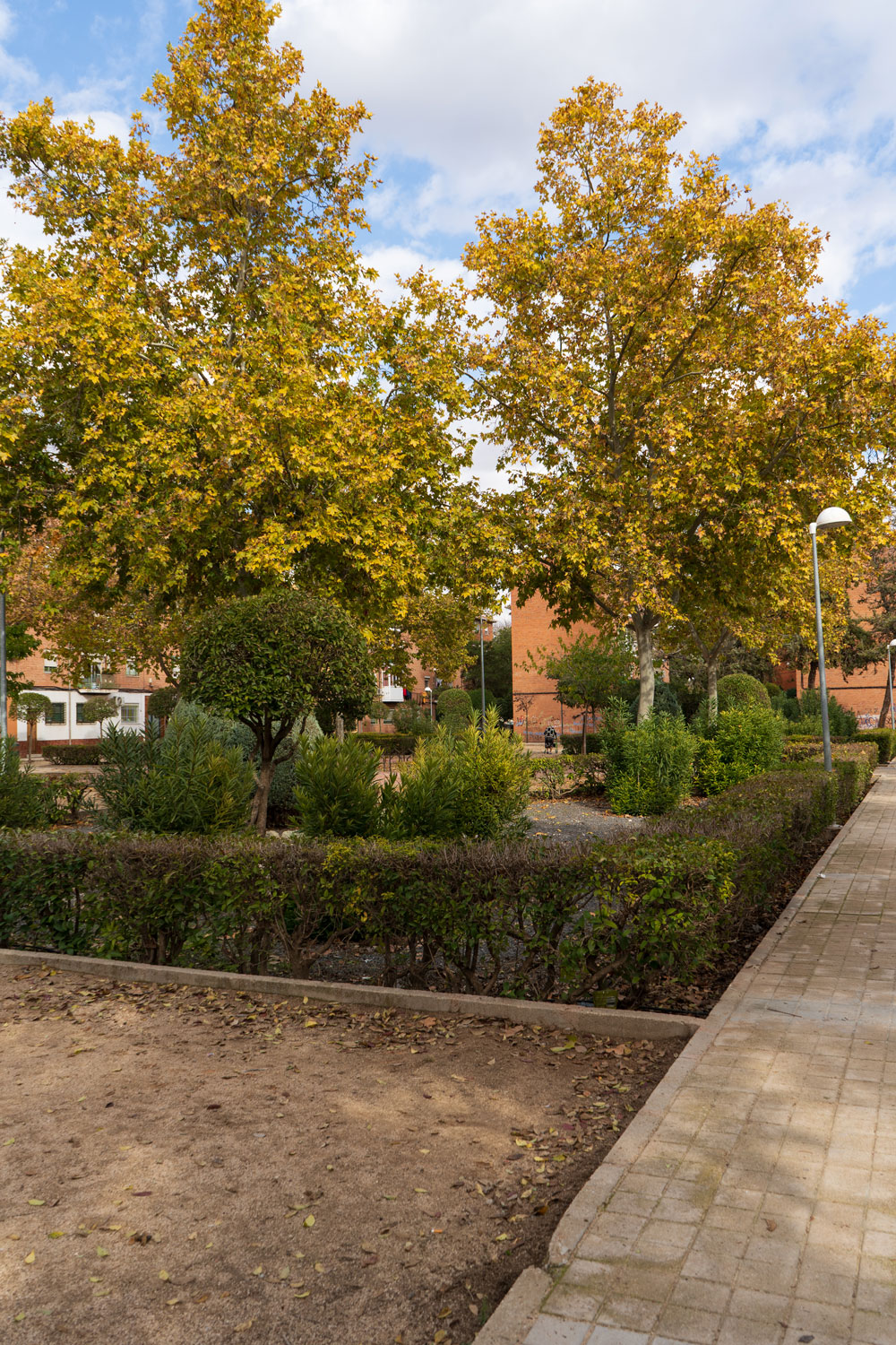 B6: Acupuntura Verde en Barrios