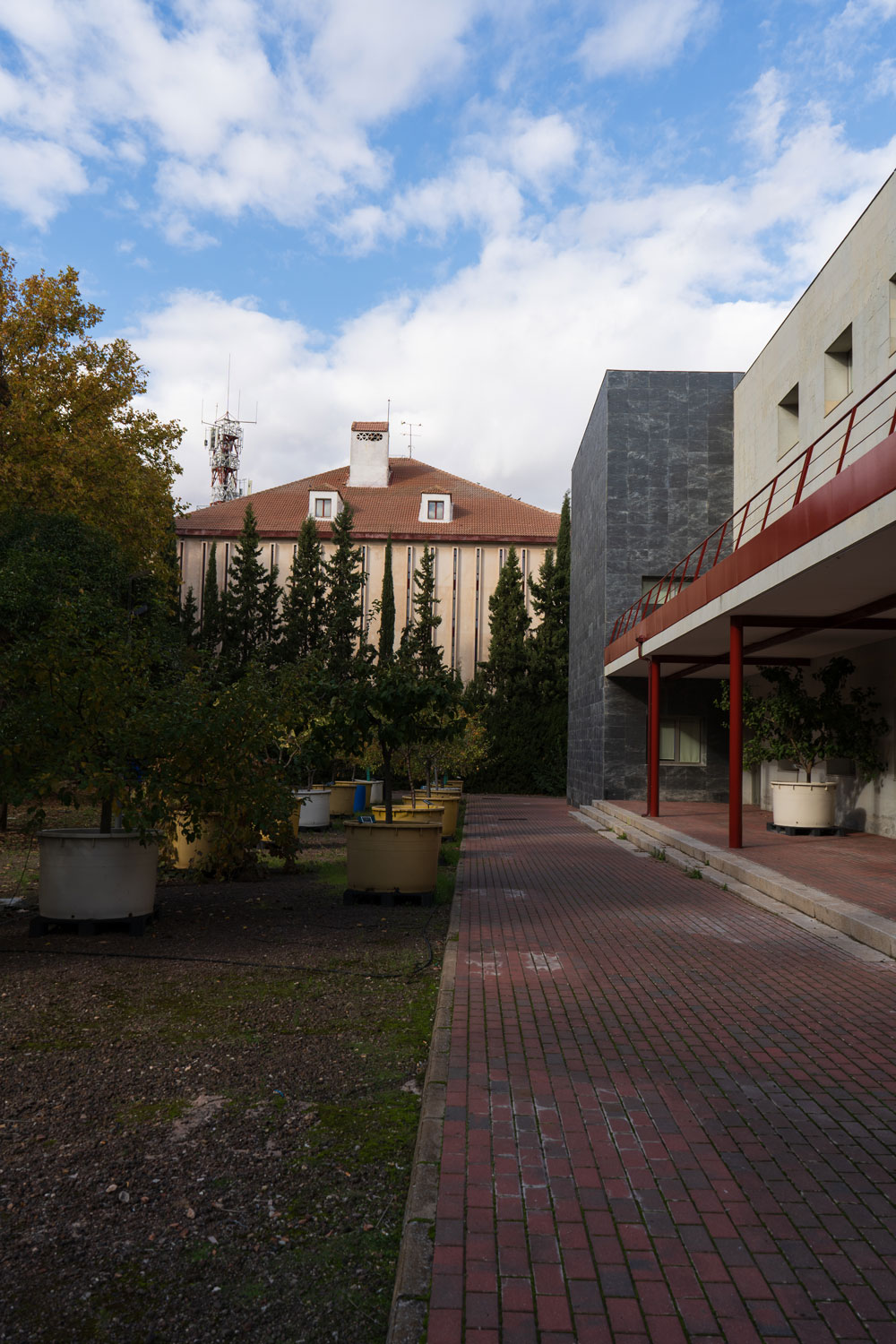 B9: Cubierta verde experimental