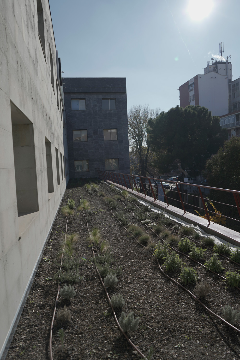 B9: Cubierta verde experimental