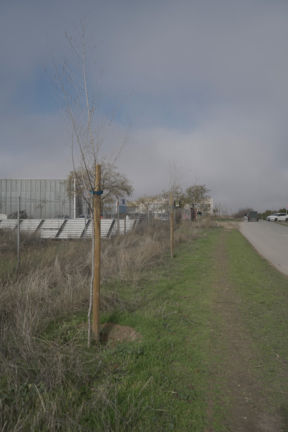 B1: Revegetación de Ejes Verdes. (AGROMORAL)