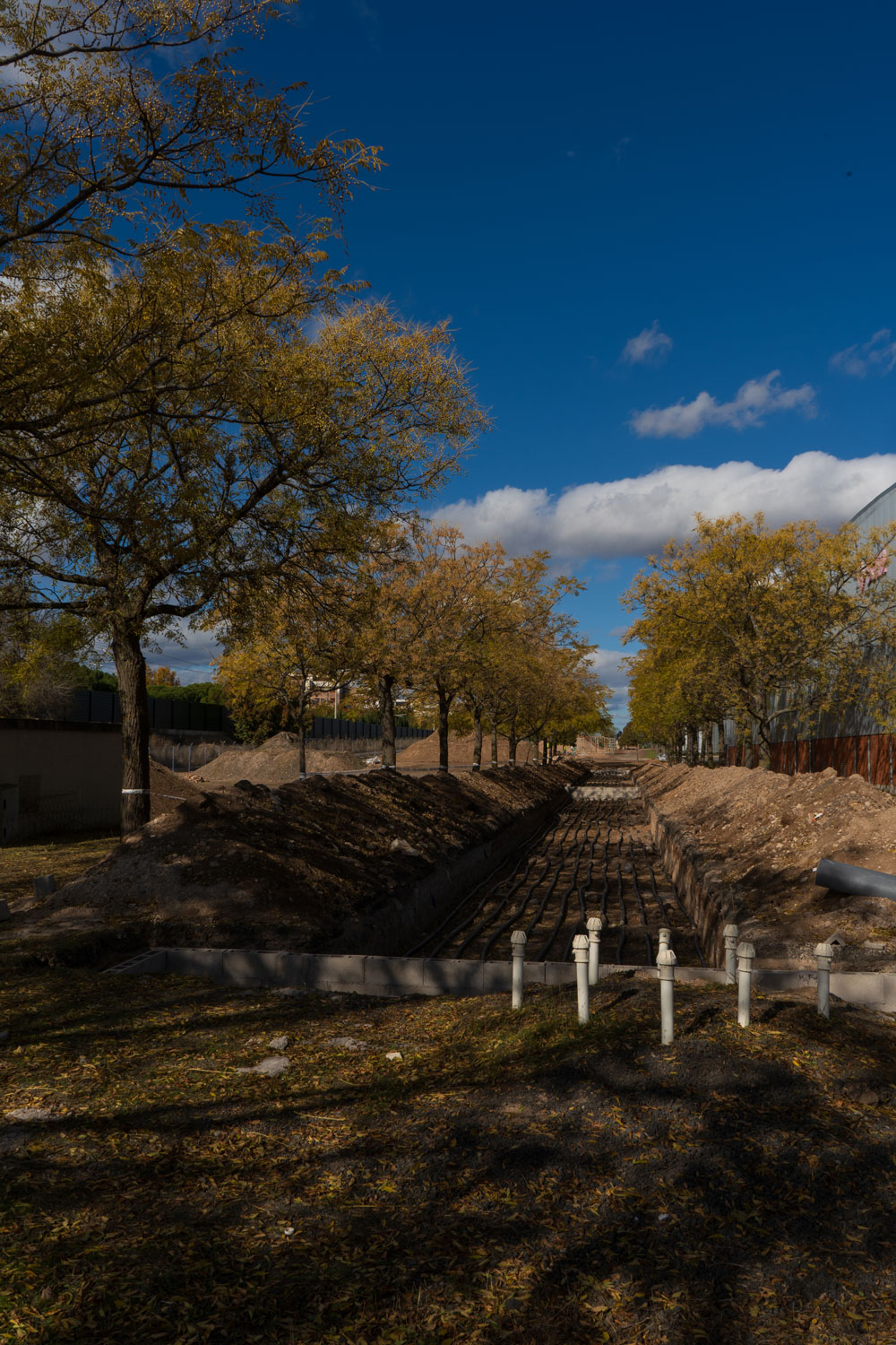 B8: Paseo ecosistémico en el Campus exterior y tanque de tormentas para el reciclado de aguas pluviales (SECTOR A-UNI)