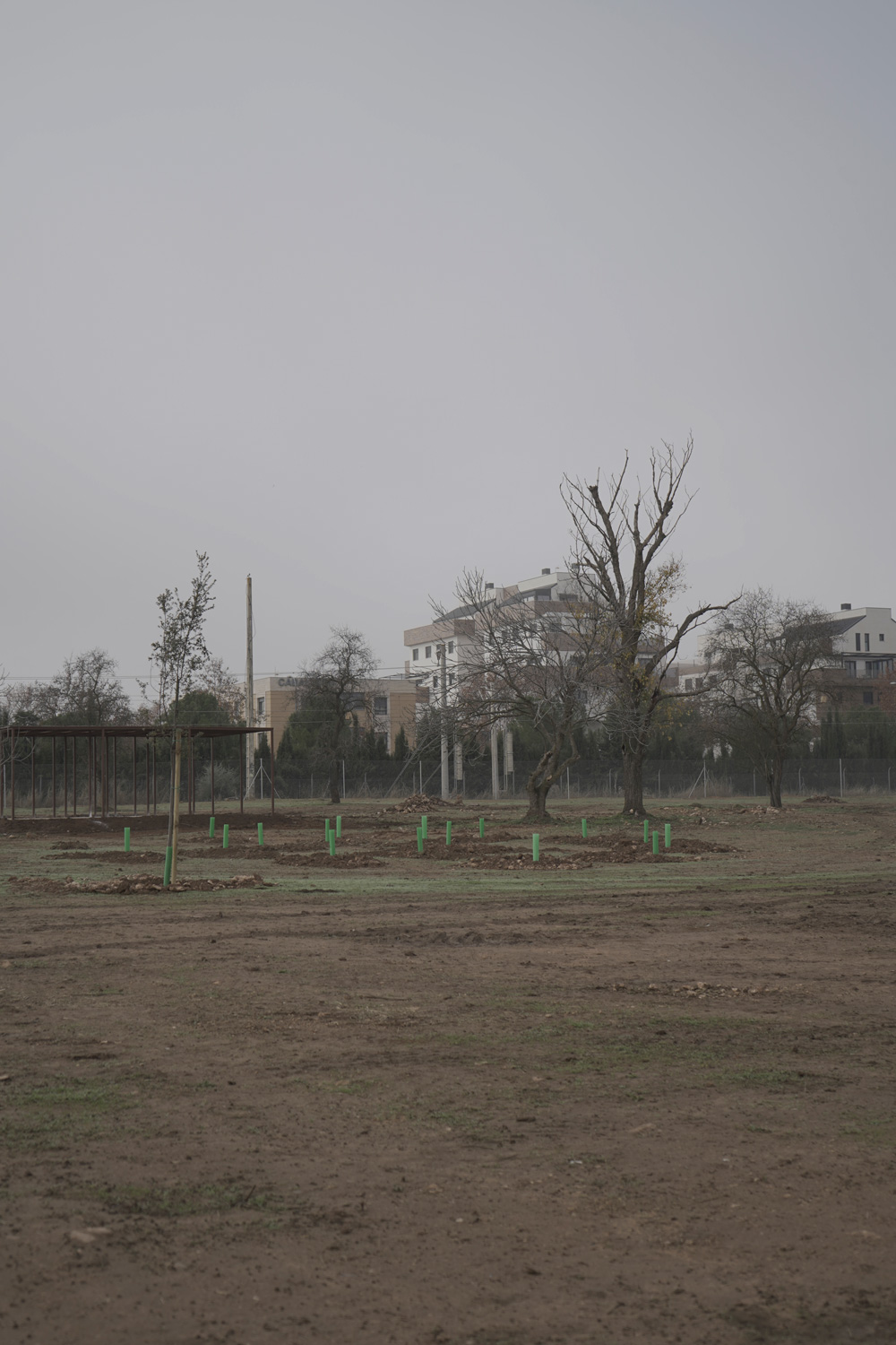 B8: Paseo ecosistémico en el Campus exterior y tanque de tormentas para el reciclado de aguas pluviales (SECTOR A-UNI)