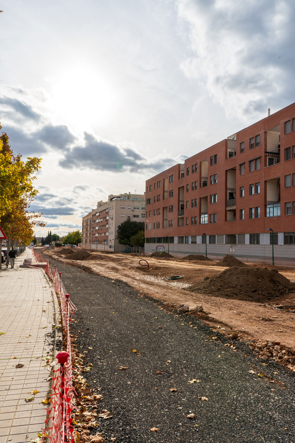 B3.2: Creación de Eje Verde con Pradera Sostenible en Avda. Leopoldo Calvo Sotelo (DECENNIAL)